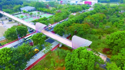 綠色是理念，更是行動