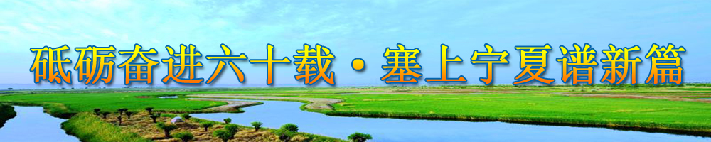 砥礪奮進六十載·塞上寧夏譜新篇