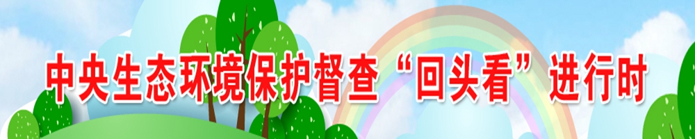 中央生態環境保護督查“回頭看”進行時