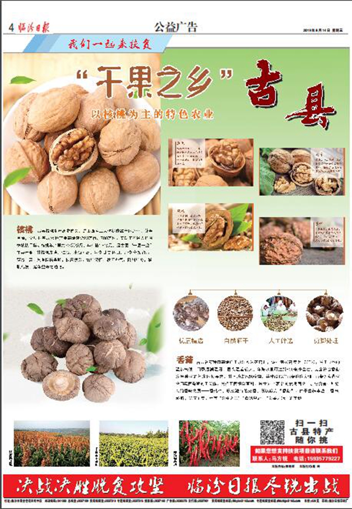 “干果之鄉”古縣：以核桃為主的特色農業