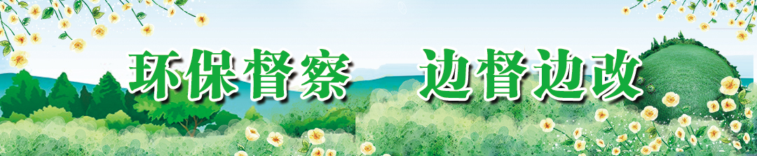 環保督察 邊督邊改