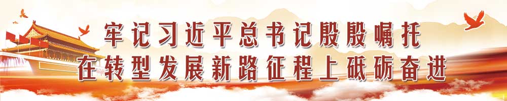 牢記習近平總書記殷殷囑托  在轉型發展蹚新路征程上砥礪奮進