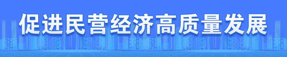 促進(jìn)民營經(jīng)濟(jì)高質(zhì)量發(fā)展