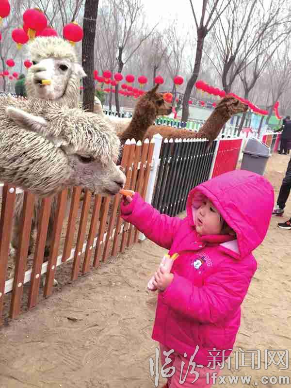 春節(jié)期間動物園成為人們親子游的好去處